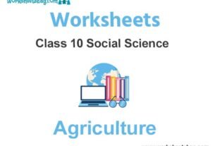 Worksheets Class 10 Social Science Agriculture