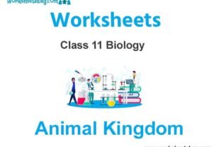 Animal Kingdom Class 11 Biology Worksheet