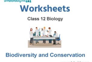 Worksheets Class 12 Biology Biodiversity and Conservation