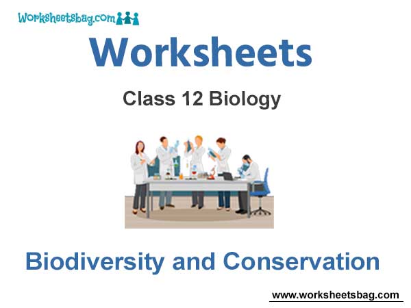 Worksheets Class 12 Biology Biodiversity and Conservation