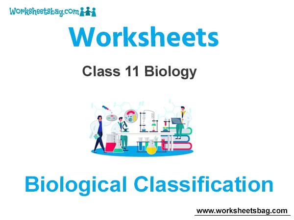 Biological Classification Class 11 Biology Worksheet