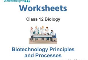 Worksheets Class 12 Biology Biotechnology Principles and Processes
