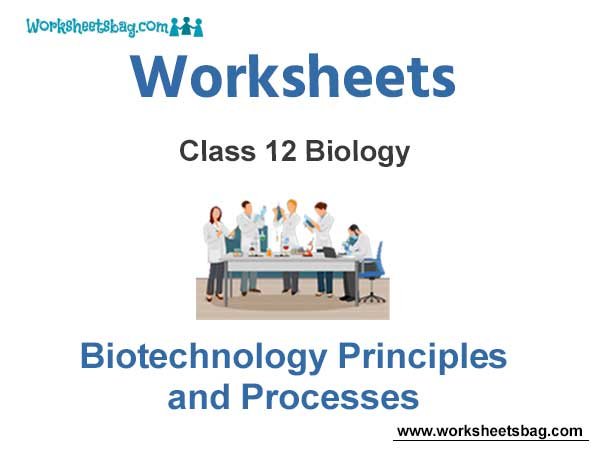 Worksheets Class 12 Biology Biotechnology Principles and Processes