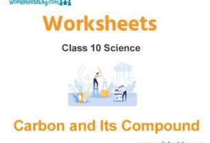 Worksheets Class 10 Science Carbon and Its Compound