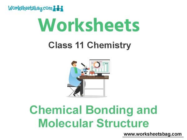 Worksheets Class 11 Chemistry Chemical Bonding and Molecular Structure