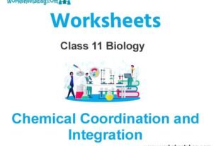 Chemical Coordination and Integration Class 11 Biology Worksheet