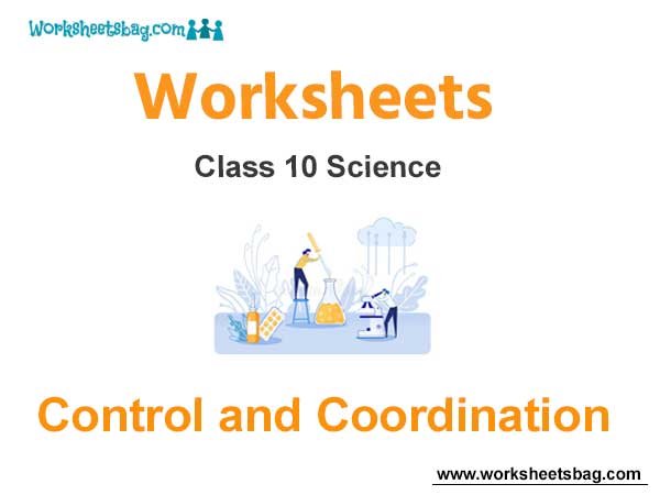Worksheets Class 10 Science Control and Coordination