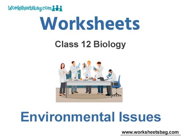 Worksheets Class 12 Biology Environmental Issues
