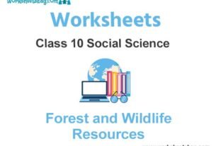 Worksheets Class 10 Social Science Forest and Wildlife Resources