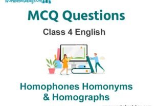 Homophones Homonyms & Homographs MCQ Questions Class 4 English