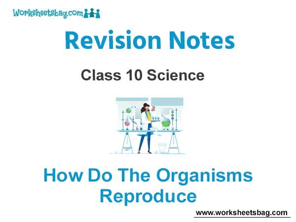 How do the Organisms Reproduce Revision Notes