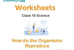 Worksheets Class 10 Science How do the Organisms Reproduce