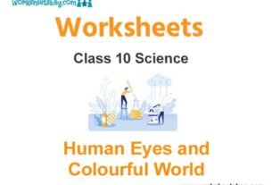 Worksheets Class 10 Science Human Eyes and Colourful World