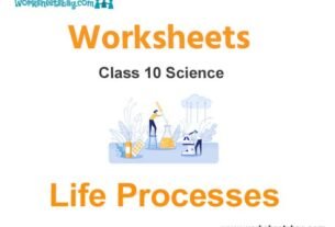 Worksheets Class 10 Science Life Processes