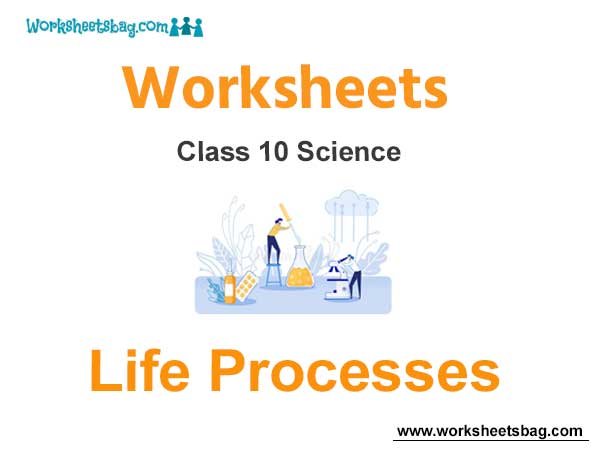 Worksheets Class 10 Science Life Processes
