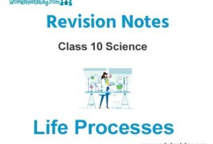 Life Processes Revision Notes