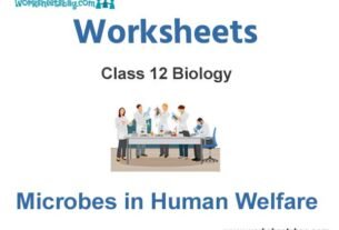 Worksheets Class 12 Biology Microbes In Human Welfare