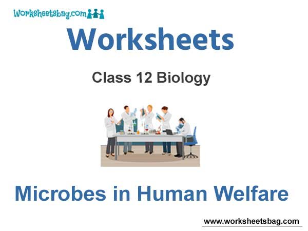 Worksheets Class 12 Biology Microbes In Human Welfare