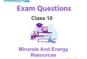Minerals and Energy Resources Exam Questions Class 10 Social Science