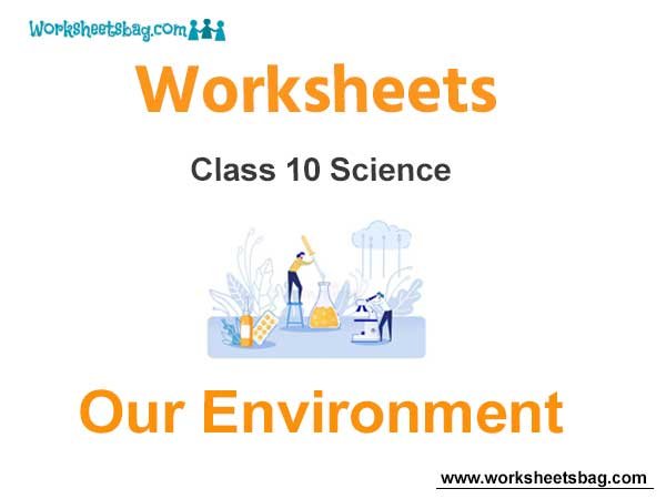 Worksheets Class 10 Science Our Environment