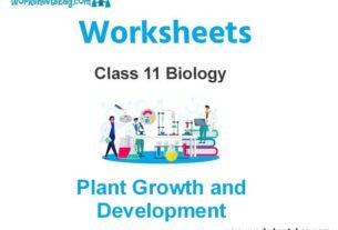 Plant Growth and Development Class 11 Biology Worksheet