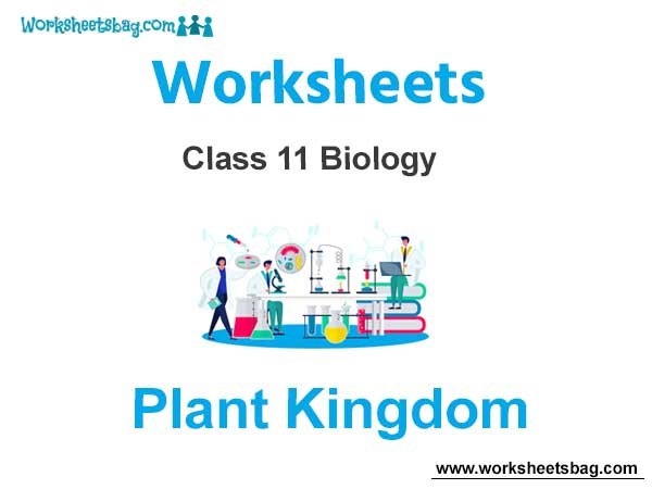 Plant Kingdom Class 11 Biology Worksheet