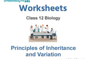 Worksheets Class 12 Biology Principles of Inheritance and Variation