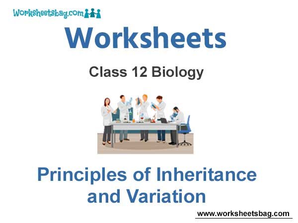 Worksheets Class 12 Biology Principles of Inheritance and Variation