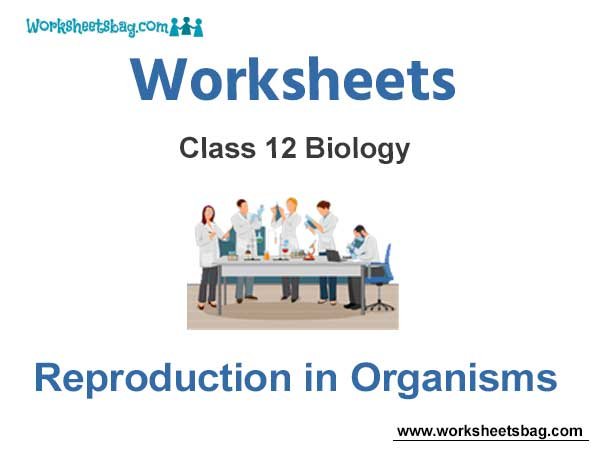 Worksheets Class 12 Biology Reproduction in Organisms