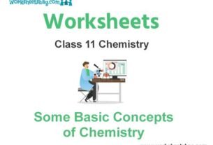 Worksheets Class 11 Chemistry Some Basic Concepts of Chemistry