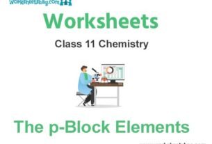 Worksheets Class 11 Chemistry The p-Block Elements