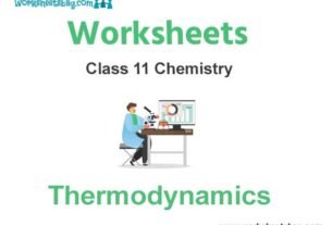 Worksheets Class 11 Chemistry Thermodynamics