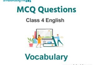 Vocabulary MCQ Questions Class 4 English