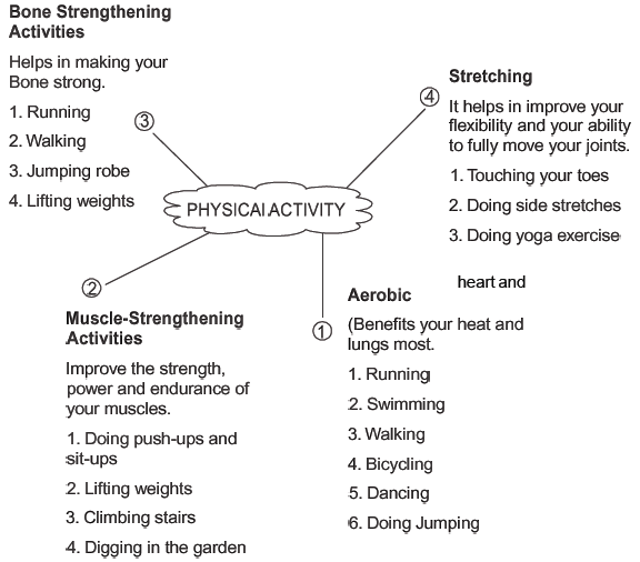 Physical Activity Environment Revision Notes