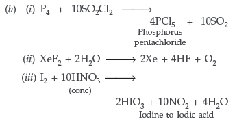 The p – Block Elements Worksheet Class 12 Chemistry