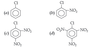 Haloalkanes and Haloarenes Worksheet Class 12 Chemistry
