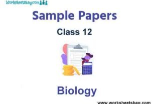 Class 12 Biology Sample Paper Term 2 Set B