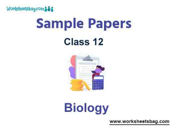 Class 12 Biology Sample Paper Term 2 Set B