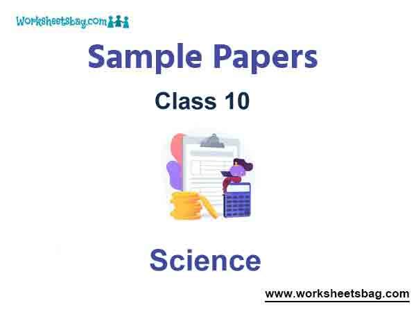 Class 10 Science Sample Paper Term 2 Set B