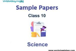 Class 10 Science Sample Paper