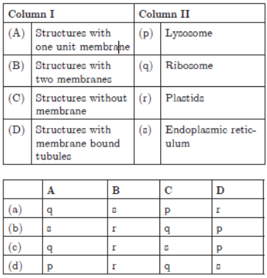 MCQ Chapter 5 The Fundamental Unit Of Life Class 9 Science