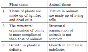 MCQ Chapter 6 Tissues Class 9 Science