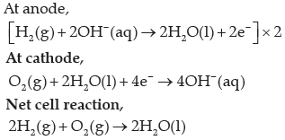 Electrochemistry Exam Questions Class 12 Chemistry