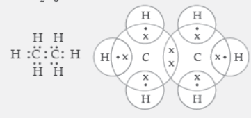 VBQs Carbon and Its Compound Class 10 Science