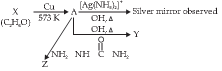 Class 12 Chemistry Sample Paper Term 1 Set C