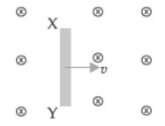 VBQs Magnetic Effect of Electric Current Class 10 Science