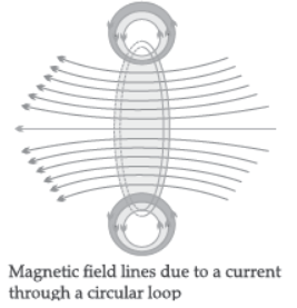 VBQs Magnetic Effect of Electric Current Class 10 Science