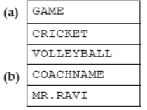 Class 12 Computer Science Sample Paper Term 2 Set A