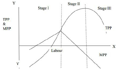 VBQs Production and Costs Class 12 Economics
