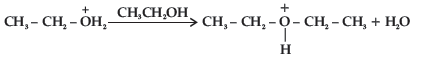 Class 12 Chemistry Sample Paper Set B